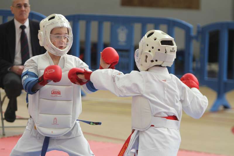 V Copa de Navarra Alev&iacute;n, Infantil y Juvenil,